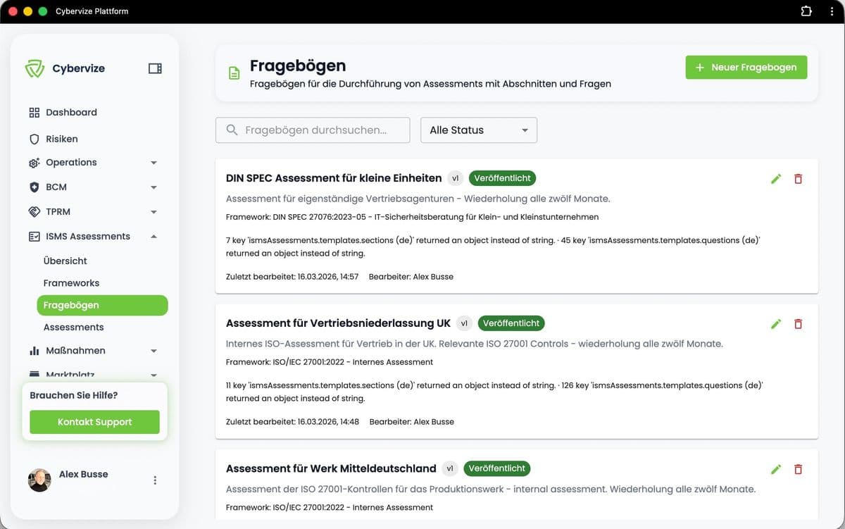 Cybervize cybersecurity assessment questionnaire for structured IT security analysis